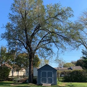 Meet your Posher, Alina